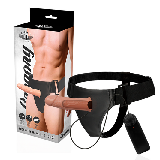 HARNESS ATTRACTION - GREGORY harnais gode-ceinture creux avec vibromasseur 16.5 cm -o- 4.3 cm