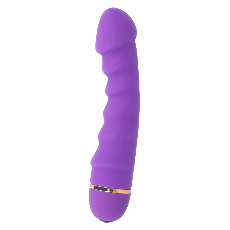 INTENSE - SALLY vibromasseur 20 vitesses silicone violet