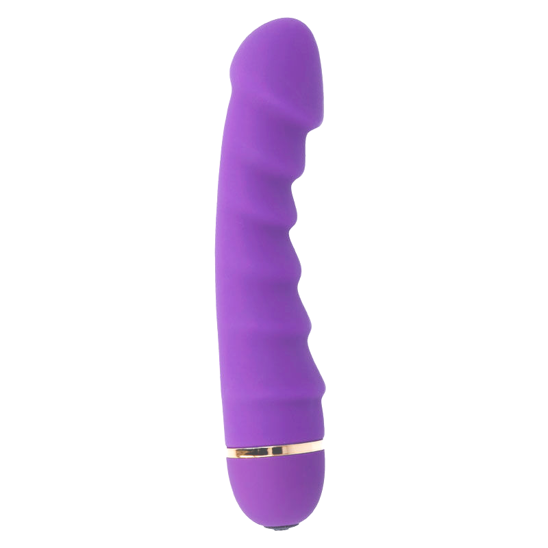 INTENSE - SALLY vibromasseur 20 vitesses silicone violet