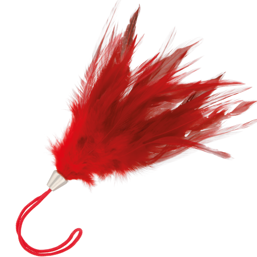 DARKNESS - plumes pour chatouilles rouge 17cm