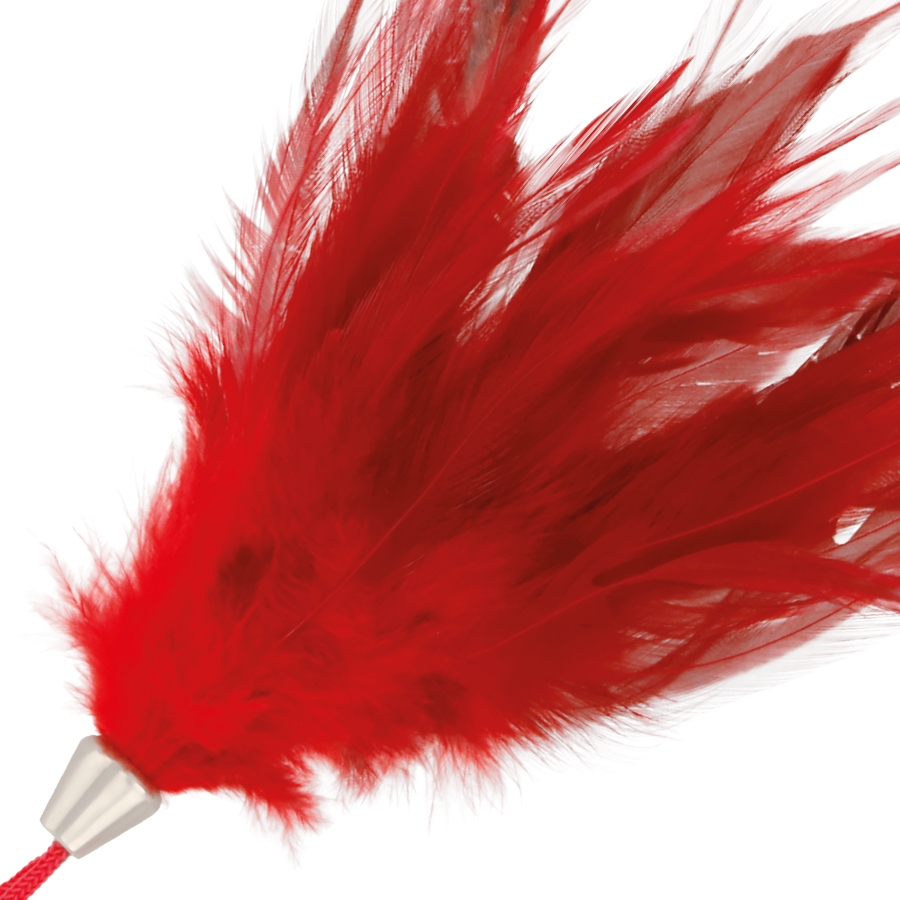 DARKNESS - plumes pour chatouilles rouge 17cm