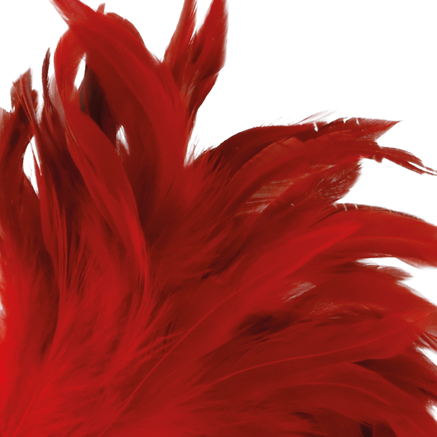 DARKNESS – plumes pour chatouilles rouge 24cm