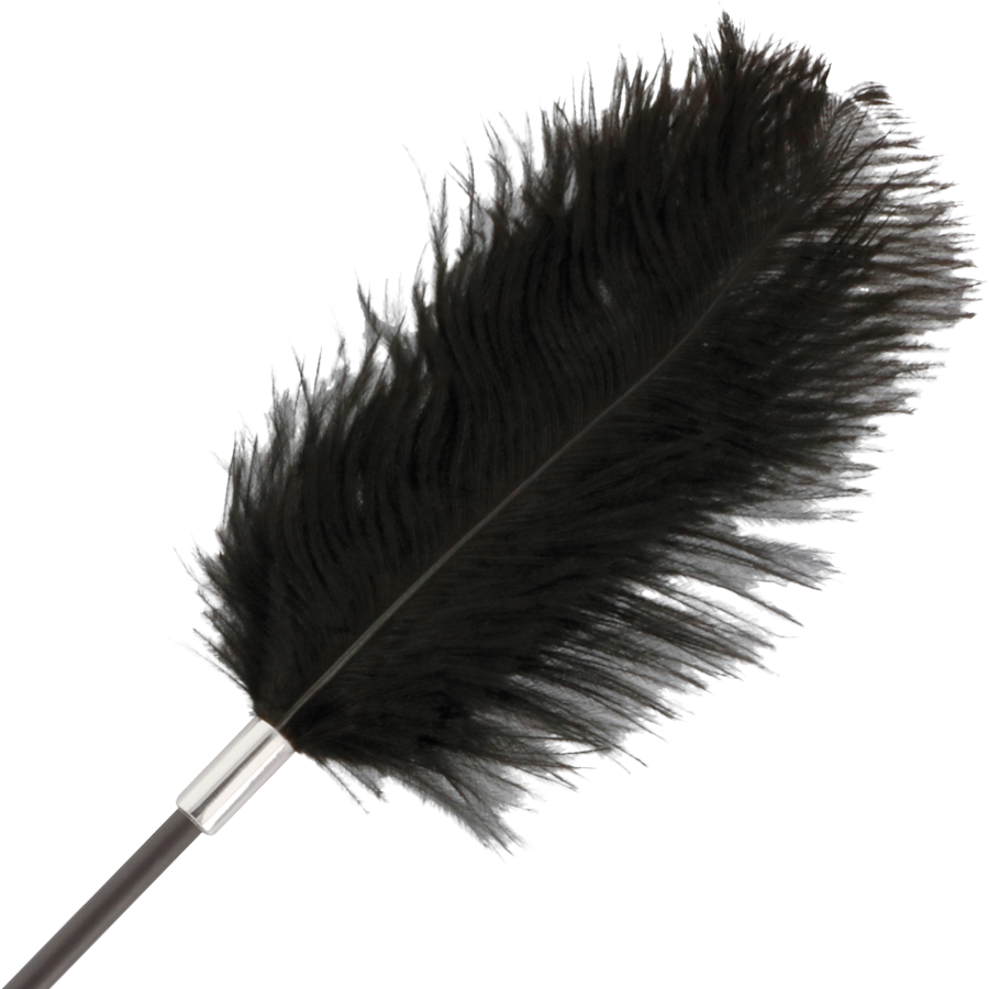 DARKNESS – cravache pour fessée et plumes pour chatouilles noir 56 cm