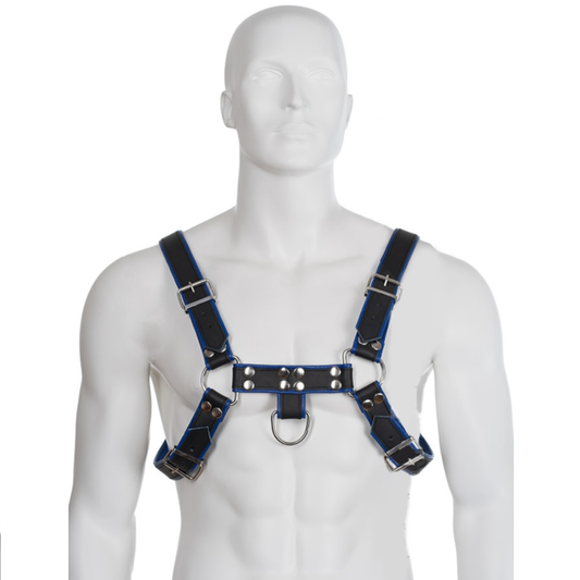 LEATHER BODY - harnais bulldog cuir noir / bleu