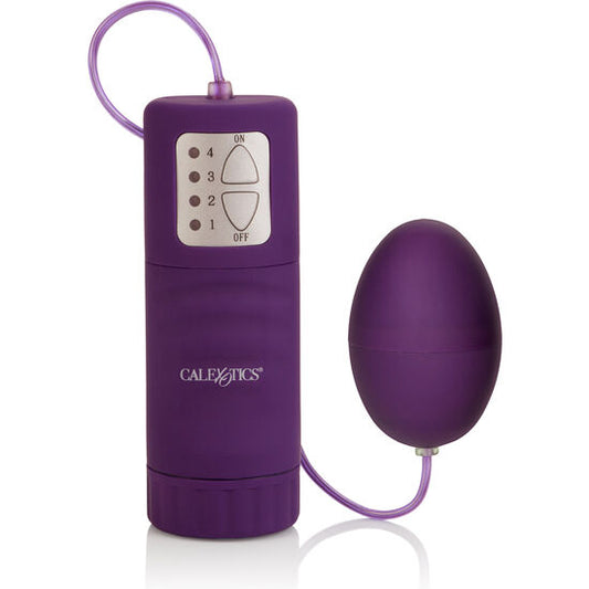 CALIFORNIA EXOTICS - POCKET EXOTICS OEUF IMPERMÉABLE VIOLET 4V